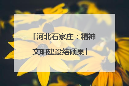 河北石家庄：精神文明建设结硕果