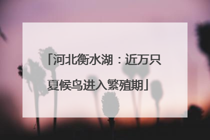 河北衡水湖：近万只夏候鸟进入繁殖期