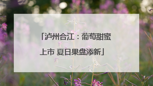 泸州合江：葡萄甜蜜上市 夏日果盘添新