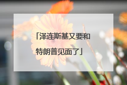 泽连斯基又要和特朗普见面了
