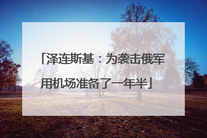 泽连斯基：为袭击俄军用机场准备了一年半