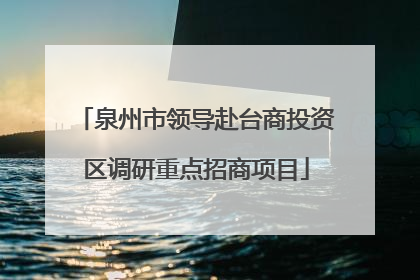 泉州市领导赴台商投资区调研重点招商项目