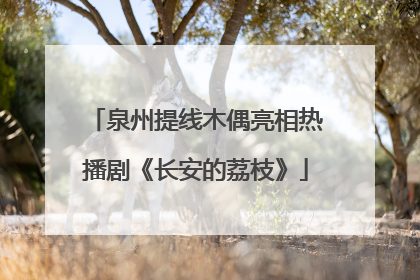泉州提线木偶亮相热播剧《长安的荔枝》