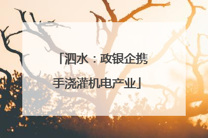 泗水：政银企携手浇灌机电产业