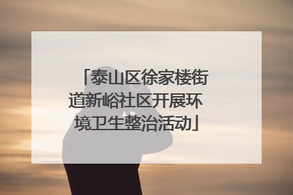泰山区徐家楼街道新峪社区开展环境卫生整治活动