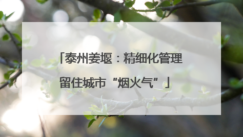 泰州姜堰：精细化管理留住城市“烟火气”