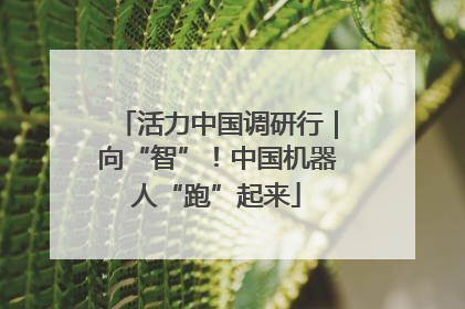 活力中国调研行｜向“智”！中国机器人“跑”起来