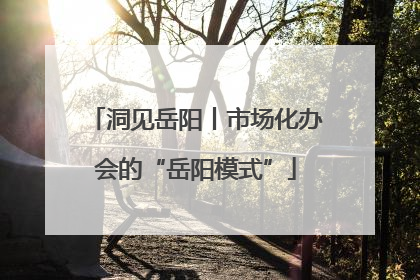 洞见岳阳丨市场化办会的“岳阳模式”