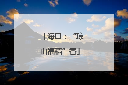 海口：“琼山福稻”香