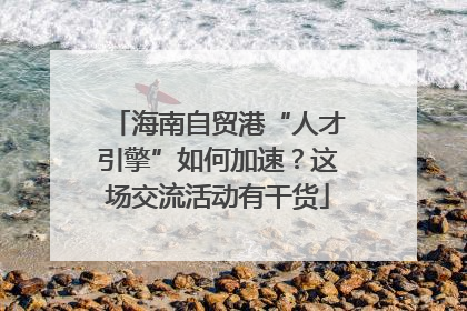 海南自贸港“人才引擎”如何加速？这场交流活动有干货