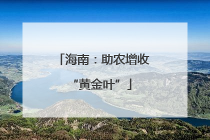 海南：助农增收 “黄金叶”