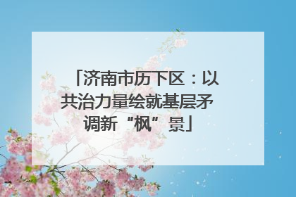 济南市历下区：以共治力量绘就基层矛调新“枫”景