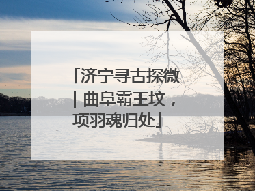 济宁寻古探微｜曲阜霸王坟，项羽魂归处