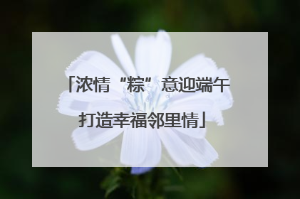 浓情“粽”意迎端午 打造幸福邻里情