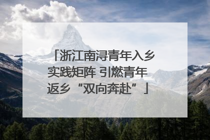 浙江南浔青年入乡实践矩阵 引燃青年返乡“双向奔赴”