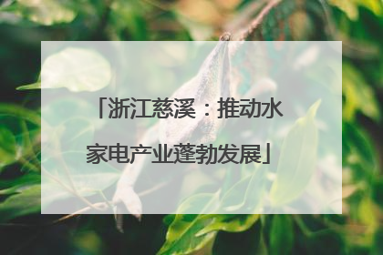 浙江慈溪：推动水家电产业蓬勃发展