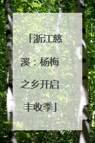 浙江慈溪：杨梅之乡开启丰收季