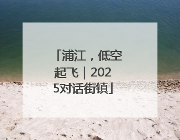 浦江，低空起飞｜2025对话街镇