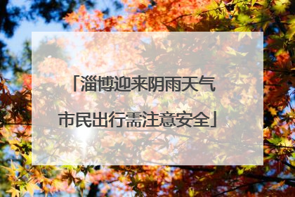 淄博迎来阴雨天气 市民出行需注意安全