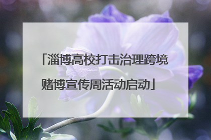 淄博高校打击治理跨境赌博宣传周活动启动
