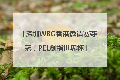 深圳WBG香港邀请赛夺冠，PEL剑指世界杯