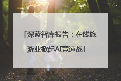 深蓝智库报告：在线旅游业掀起AI竞速战