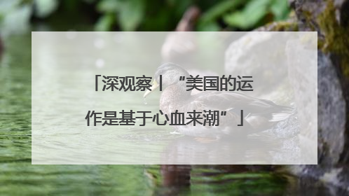 深观察丨“美国的运作是基于心血来潮”