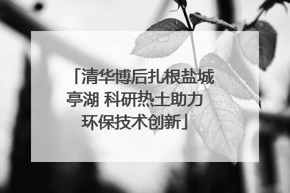 清华博后扎根盐城亭湖 科研热土助力环保技术创新