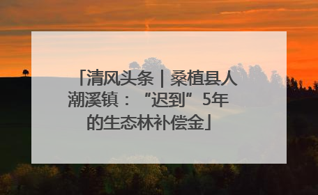 清风头条｜桑植县人潮溪镇：“迟到”5年的生态林补偿金