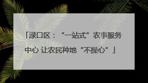 渌口区：“一站式”农事服务中心 让农民种地“不操心”
