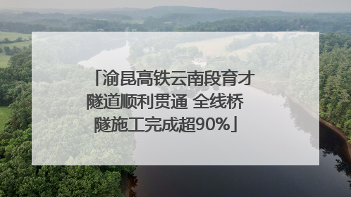渝昆高铁云南段育才隧道顺利贯通 全线桥隧施工完成超90%