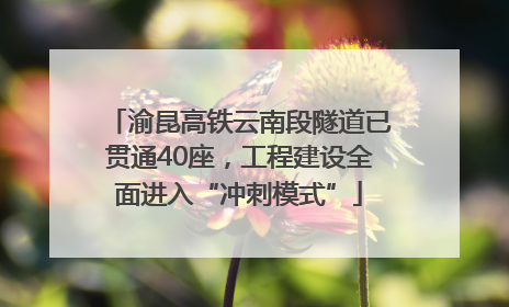 渝昆高铁云南段隧道已贯通40座，工程建设全面进入“冲刺模式”