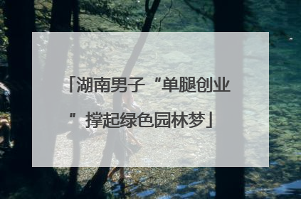 湖南男子“单腿创业”撑起绿色园林梦