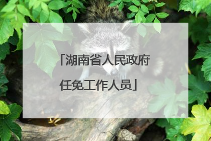 湖南省人民政府任免工作人员
