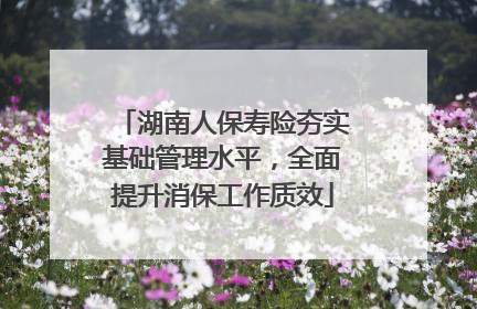 湖南人保寿险夯实基础管理水平，全面提升消保工作质效