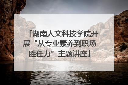 湖南人文科技学院开展“从专业素养到职场胜任力”主题讲座