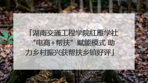湖南交通工程学院红雁学社“电商+帮扶”赋能模式 助力乡村振兴获帮扶乡镇好评