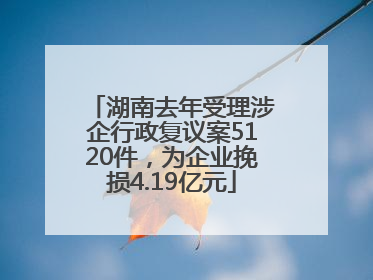 湖南去年受理涉企行政复议案5120件，为企业挽损4.19亿元