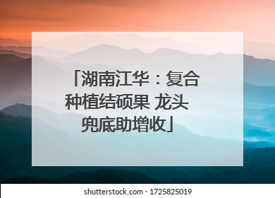 湖南江华：复合种植结硕果 龙头兜底助增收