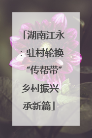湖南江永：驻村轮换“传帮带” 乡村振兴承新篇