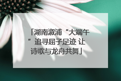 湖南溆浦“大端午”追寻屈子足迹 让诗歌与龙舟共舞