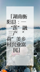 湖南衡阳县：一“莲”融三产 “荷”美乡村兴业富民