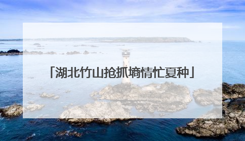 湖北竹山抢抓墒情忙夏种