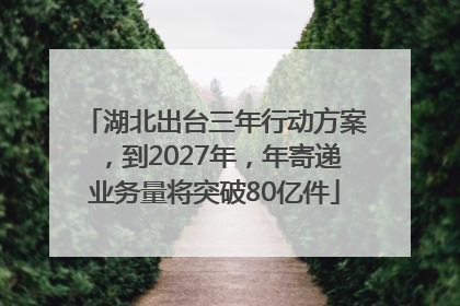 湖北出台三年行动方案，到2027年，年寄递业务量将突破80亿件