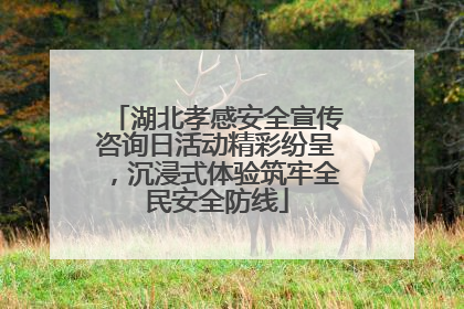 湖北孝感安全宣传咨询日活动精彩纷呈，沉浸式体验筑牢全民安全防线