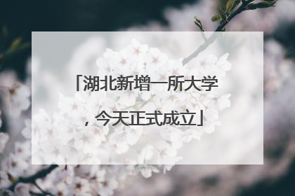 湖北新增一所大学，今天正式成立