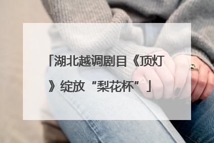 湖北越调剧目《顶灯》绽放“梨花杯”