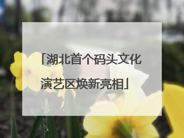 湖北首个码头文化演艺区焕新亮相