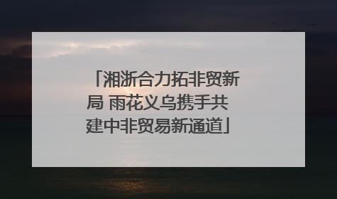 湘浙合力拓非贸新局 雨花义乌携手共建中非贸易新通道