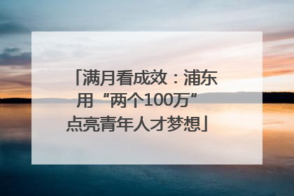 满月看成效：浦东用“两个100万”点亮青年人才梦想